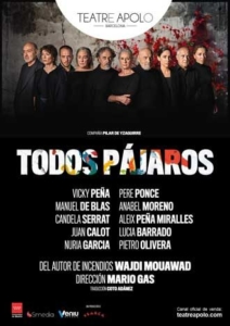 Todos Pajaros, al teatro Apolo 